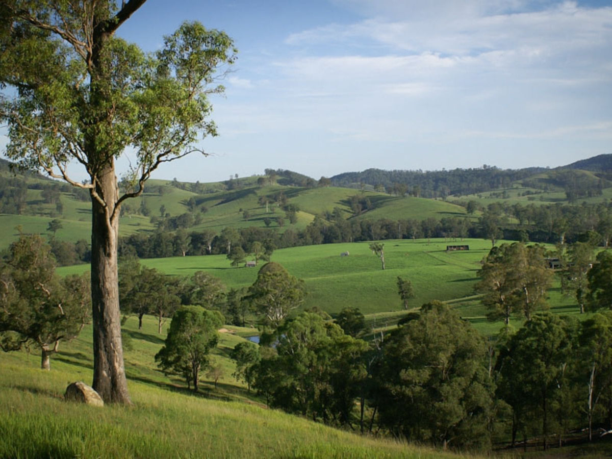 Barrington Tops Location Australia Riverwood Downs